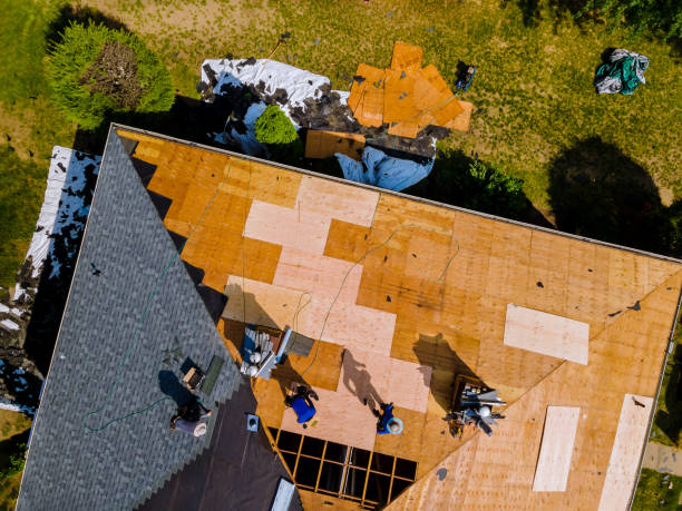 Best Storm Damage Roof Repair  in Fowler, MI