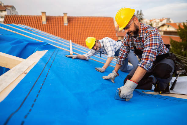 Best New Roof Installation  in Fowler, MI