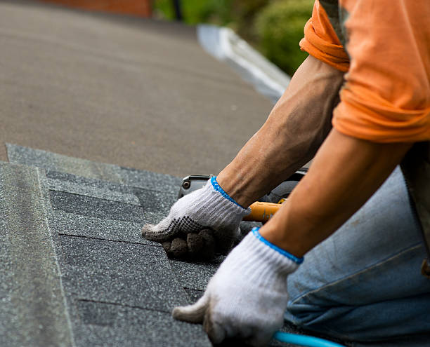 Sealant for Roof in Fowler, MI